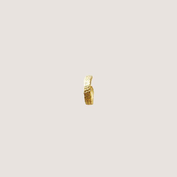 Roxy Hoop Small Earring