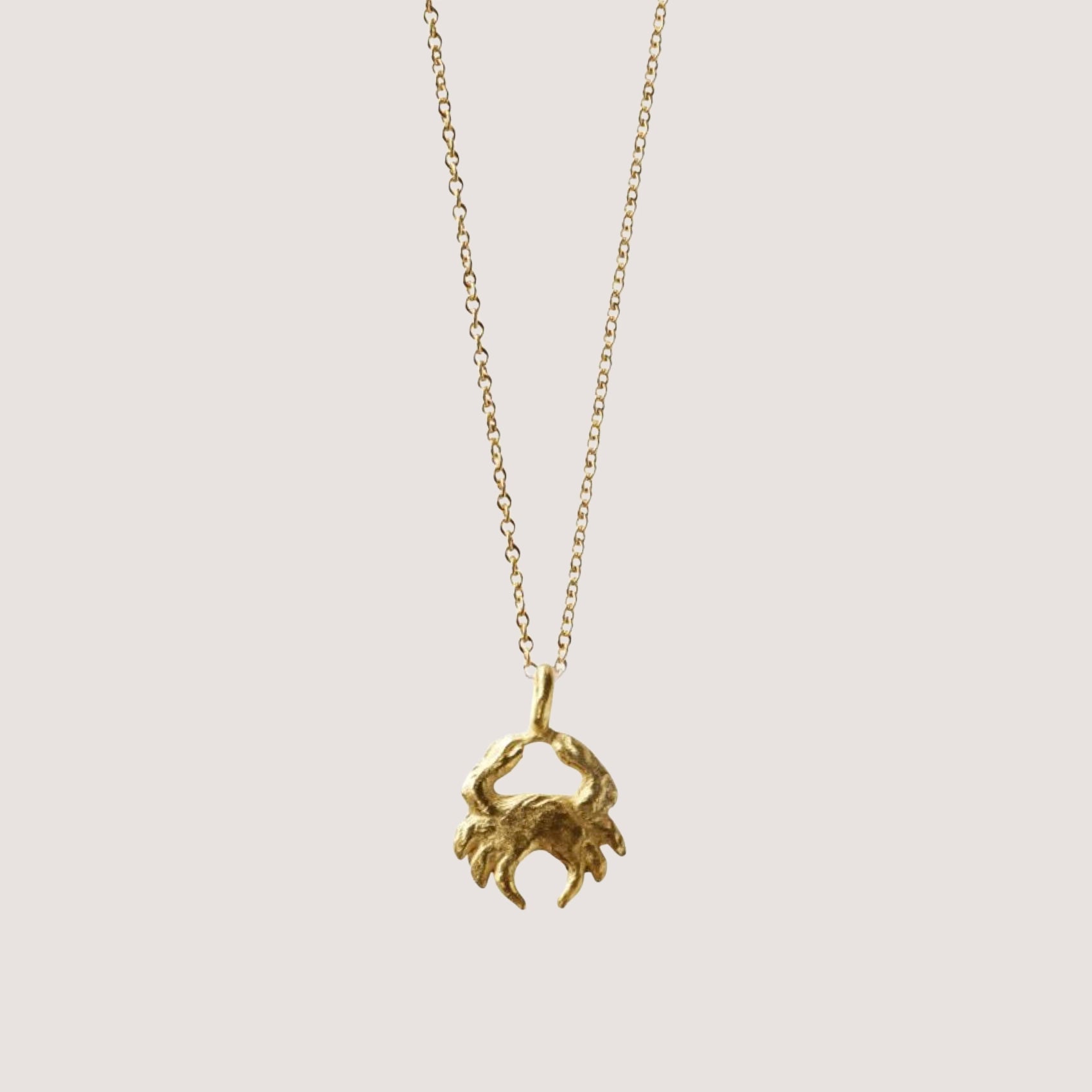 Star Sign Mini Cancer - Necklace