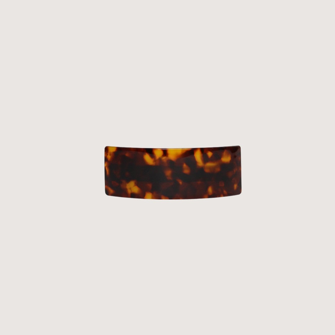 Diana Barrette - Tortoise