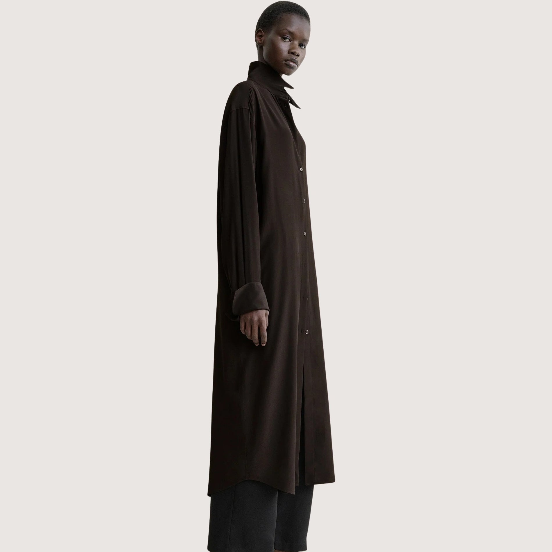 Silk Shirtdress
