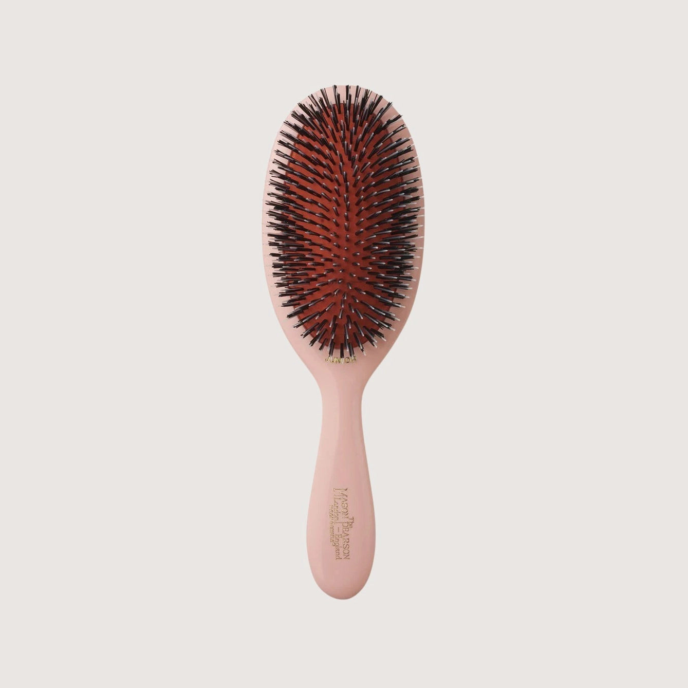 BN2 Junior Bristle & Nylon